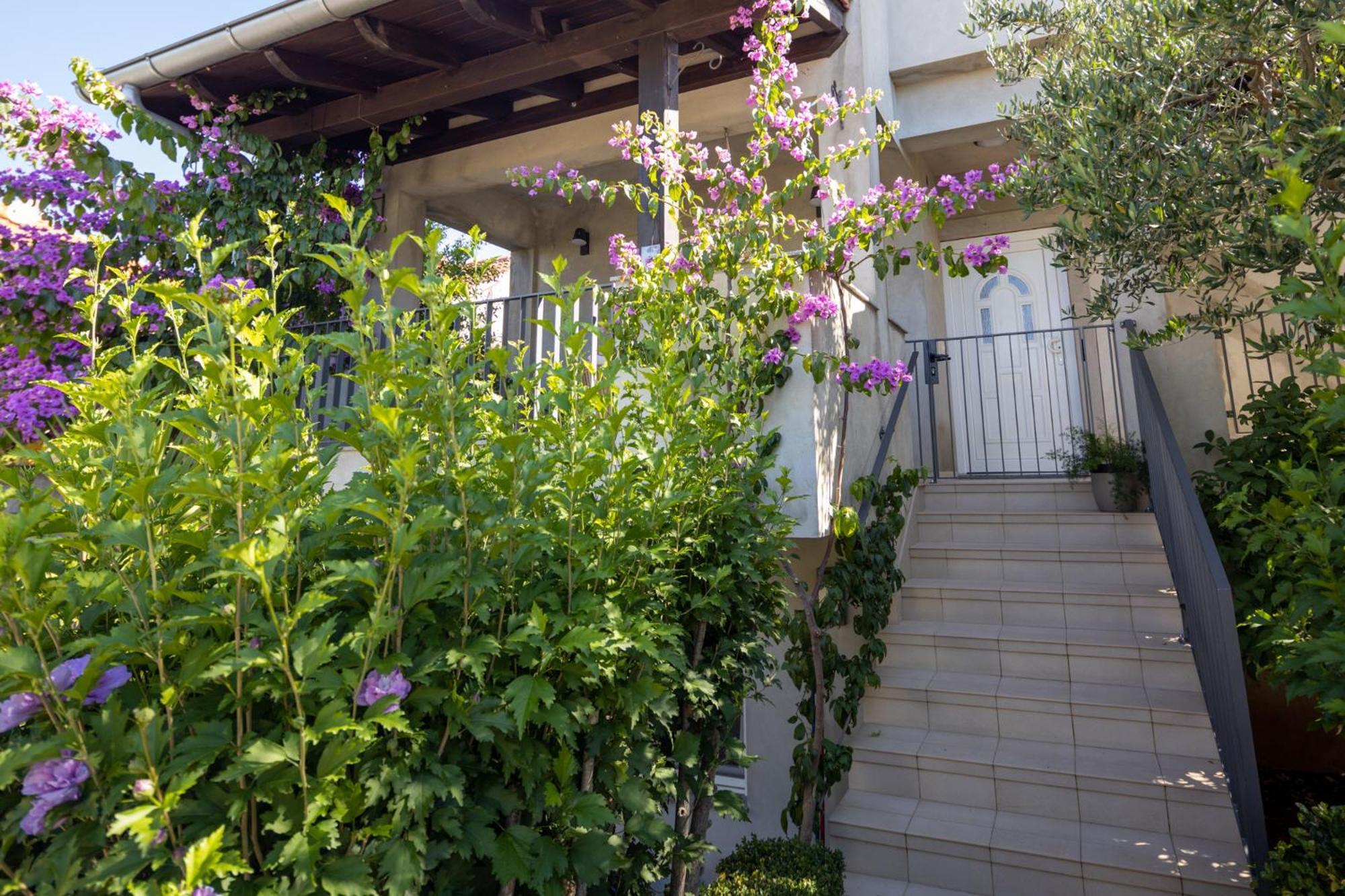 Lumaja Luxury Apartman Biograd Na Moru Zewnętrze zdjęcie